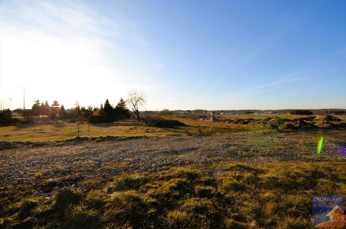 Działka budowlana na sprzedaż Orzesze  1 003m2 Foto 7