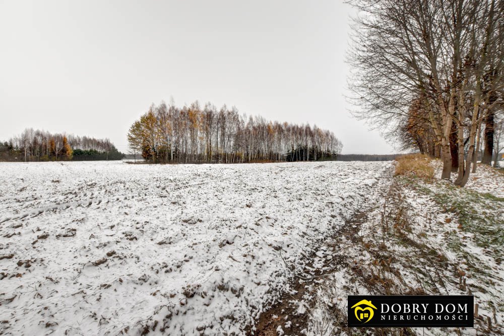 Działka rolna na sprzedaż Proniewicze  21 600m2 Foto 6