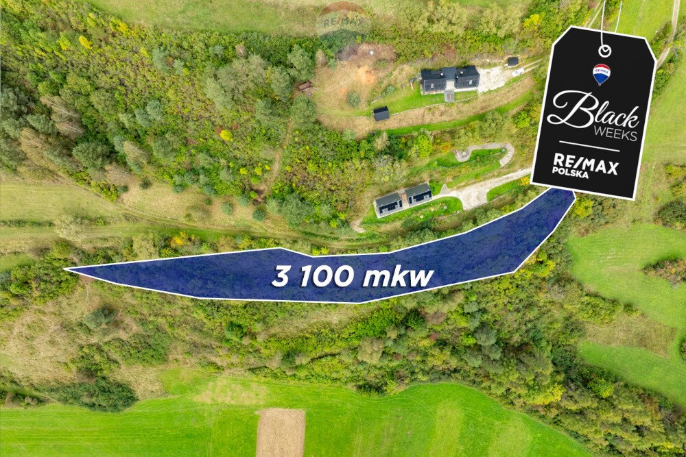 Działka rolna na sprzedaż Knurów, Świętej Kingi  3 100m2 Foto 1