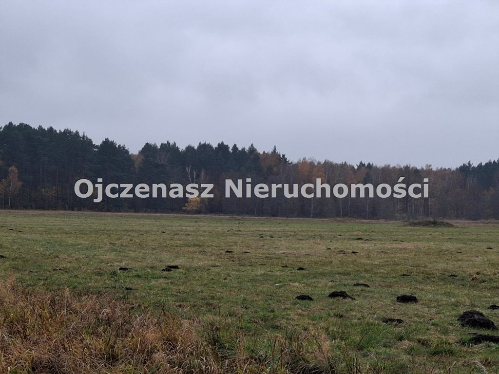 Na sprzedaż działka 26 855 m² z MPZP w Białych Błotach Lisi Ogon  26 855m2 Foto 1