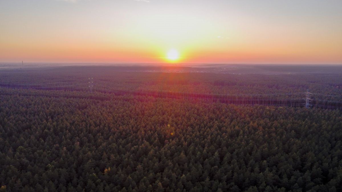 Działka budowlana na sprzedaż Trzcianka  25 988m2 Foto 8