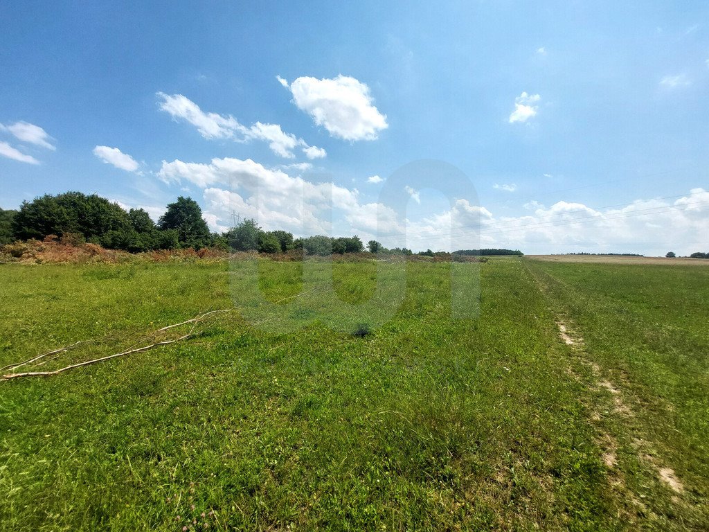 Działka rolna na sprzedaż Bukowno  17 020m2 Foto 2