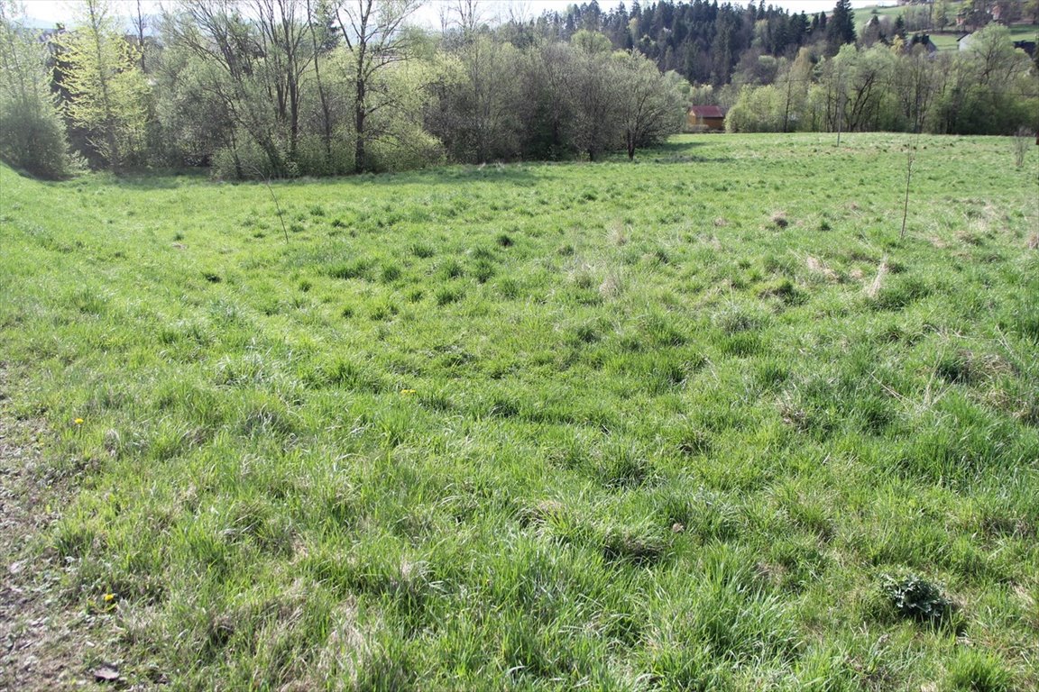 Zapraszam do zakupu działki 1,6 ha z widokami w Beskidach Skomielna Biała  16 059m2 Foto 1