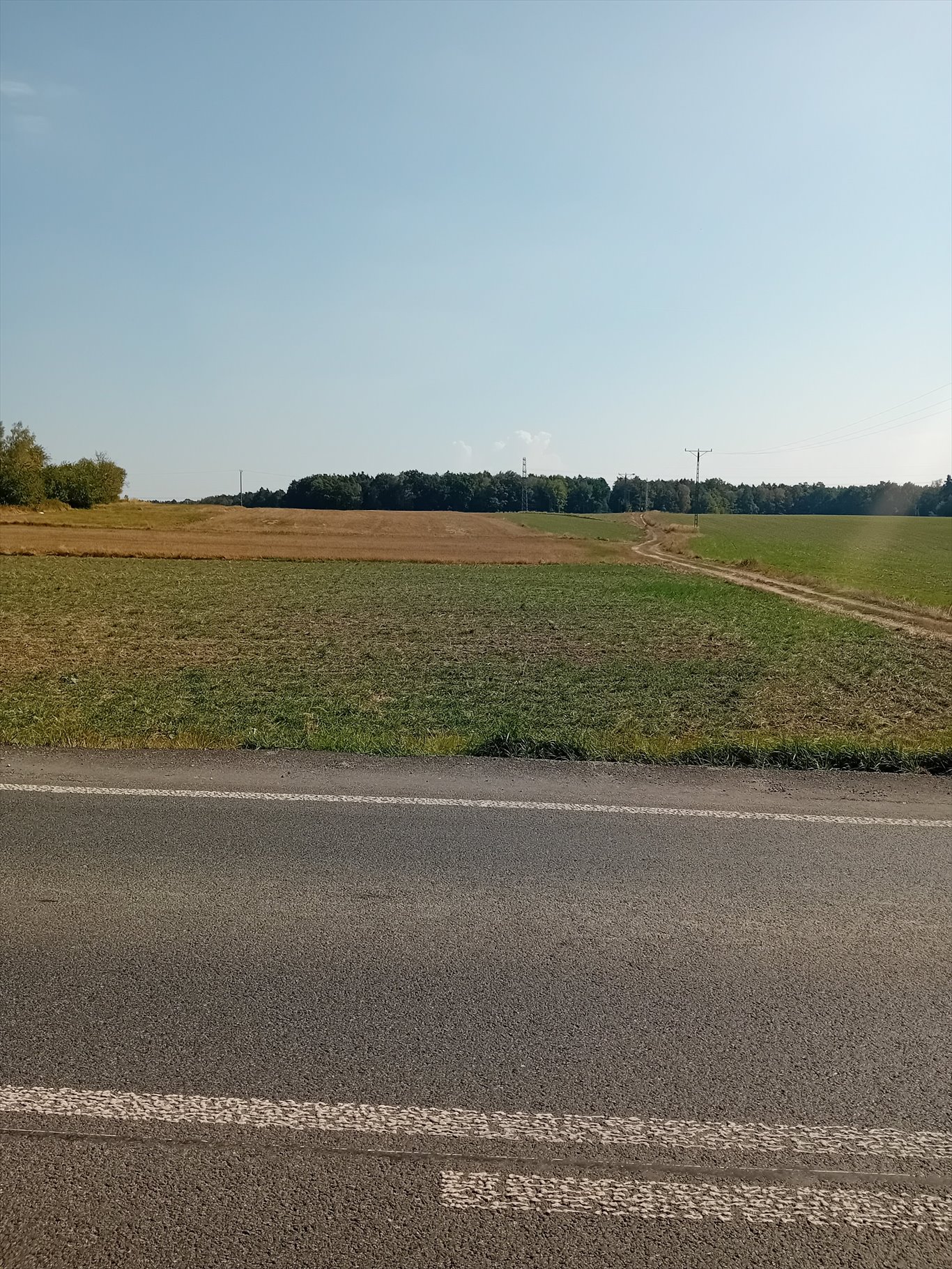 Działka rolna na sprzedaż Sierakowice  24 000m2 Foto 3