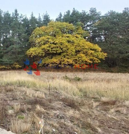 Działka budowlana na sprzedaż Stara Wieś  1 000m2 Foto 2