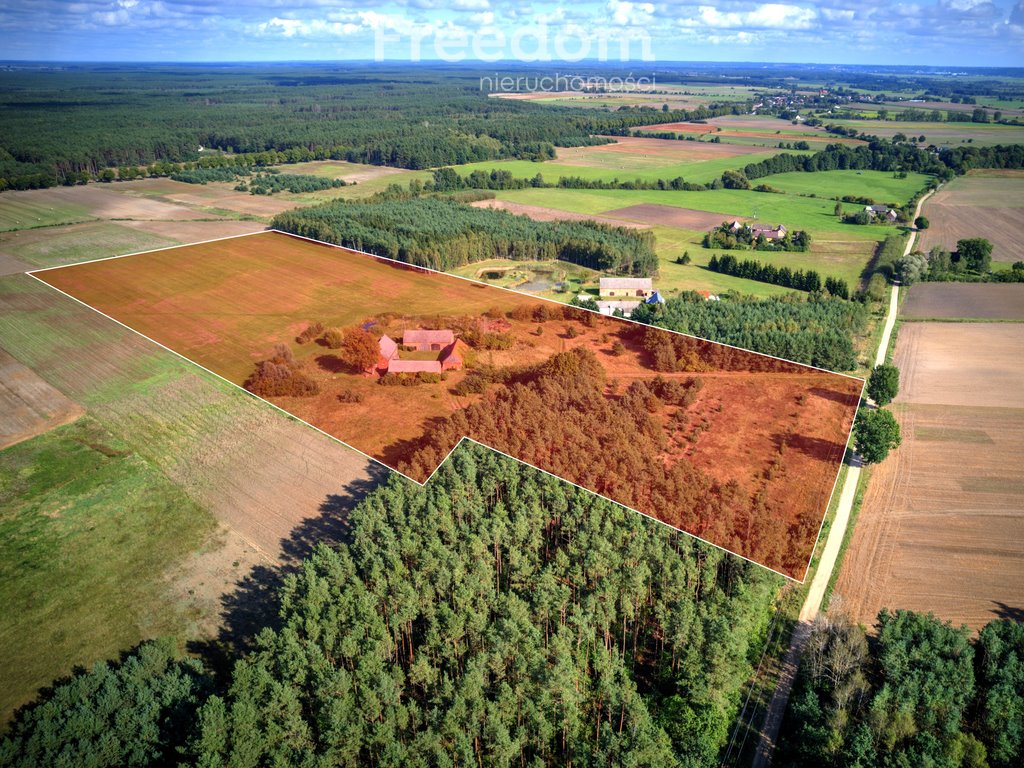 Dom na sprzedaż Jędrzejewo  300m2 Foto 3