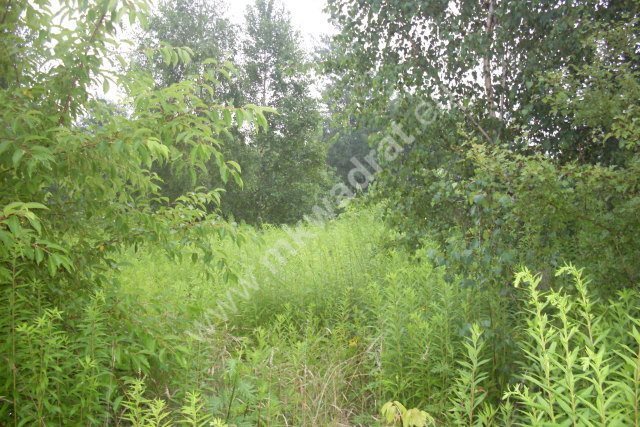 Działka budowlana na sprzedaż Kanie, mkwadrat.eu - wejdź i zobacz sprawdzone oferty nieruchomości 2 196m2 Foto 1 Działka budowlana na sprzedaż Kanie, mkwadrat.eu - wejdź i zobacz sprawdzone oferty nieruchomości 2 196m2 Foto 1