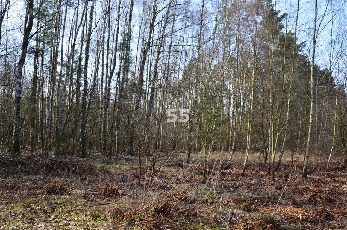 Działka budowlana na sprzedaż Tkaczewska Góra  1 650m2 Foto 3