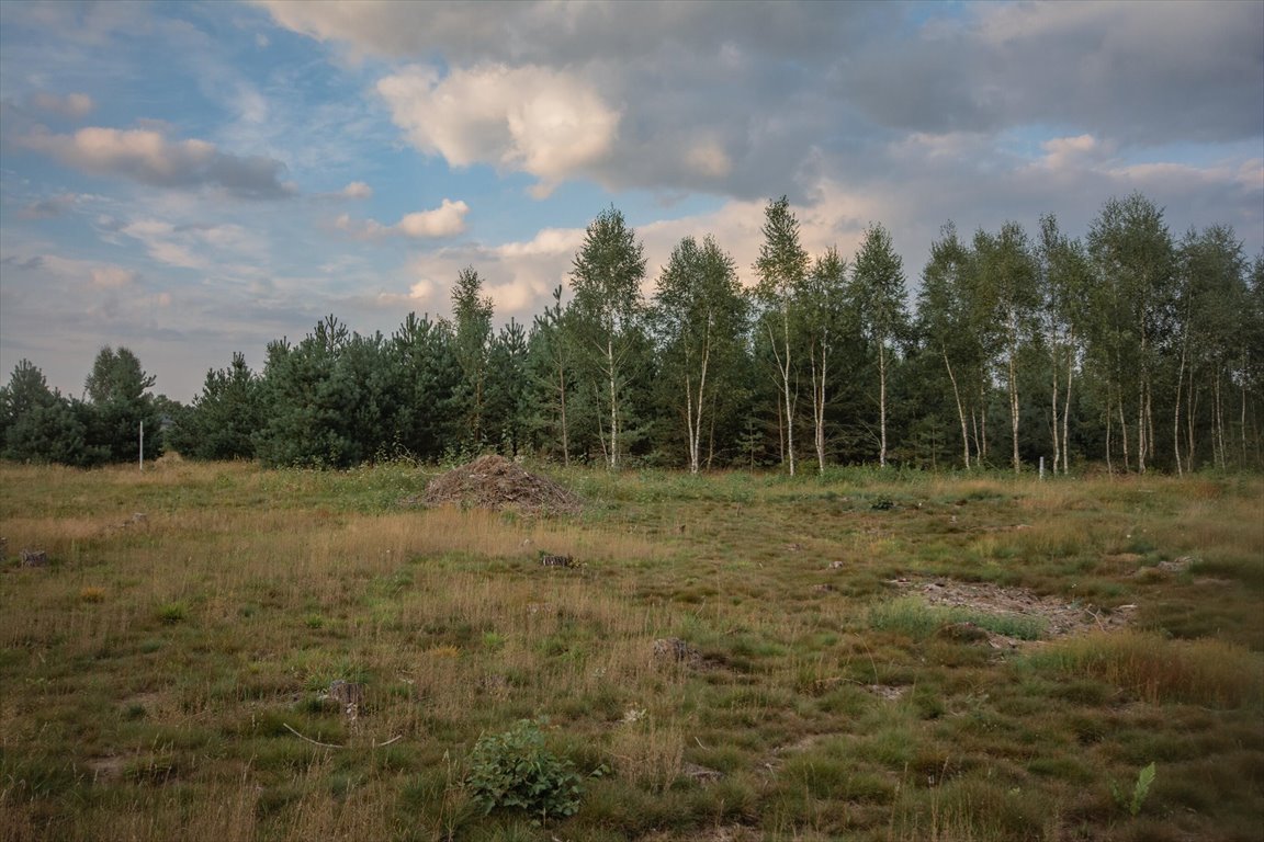 Działka inna na sprzedaż Kowalewo  1 005m2 Foto 13