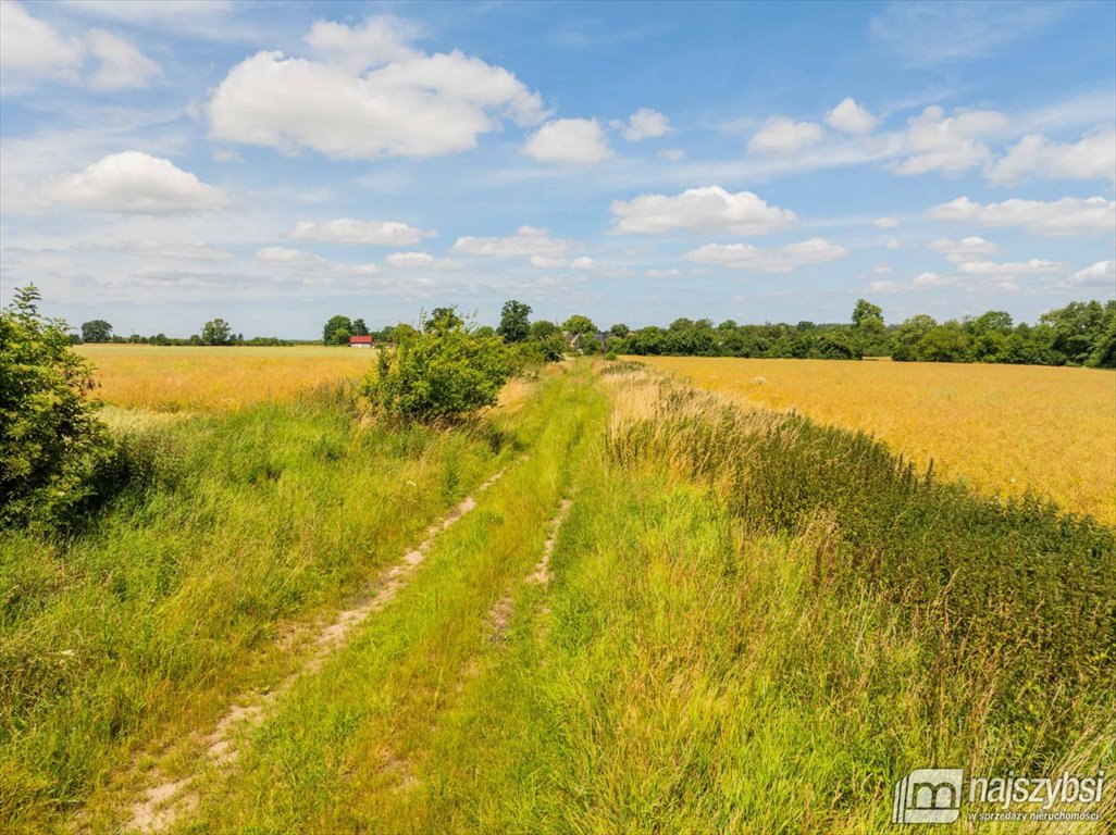 Działka rolna na sprzedaż Obromino  21 701m2 Foto 8