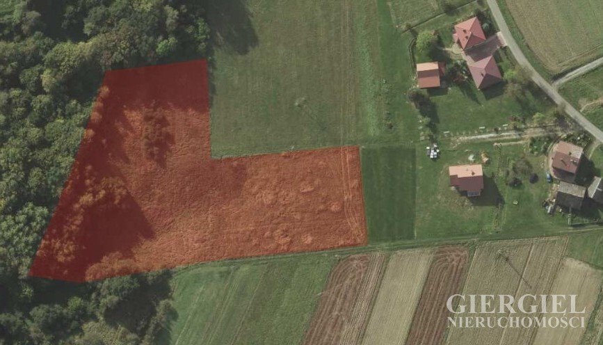 Działka rolna na sprzedaż Zabratówka  8 900m2 Foto 1