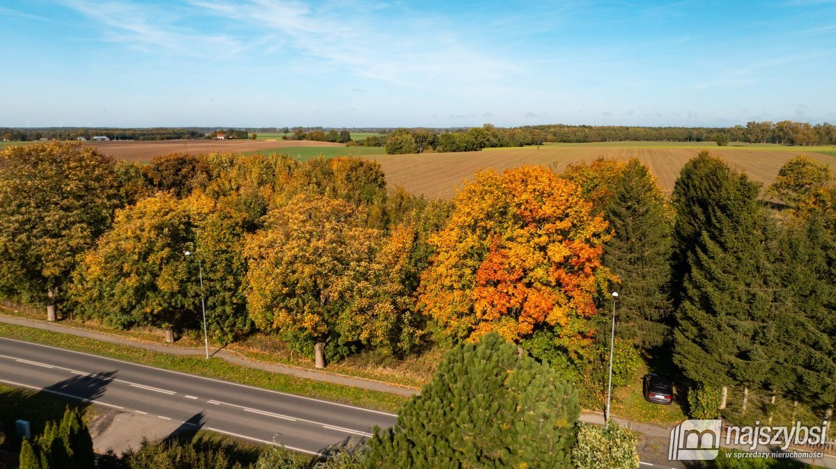 Działka rolna na sprzedaż Brojce, obrzeża  4 100m2 Foto 12