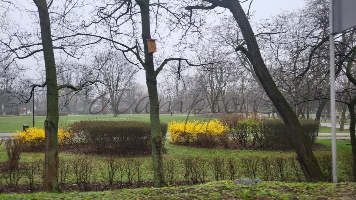 Mieszkanie dwupokojowe na wynajem Grodzisk Mazowiecki, gen. L. Okulickiego  53m2 Foto 10