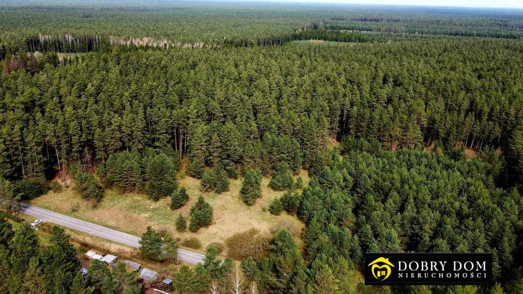 Działka komercyjna na sprzedaż Serski Las  9 100m2 Foto 15