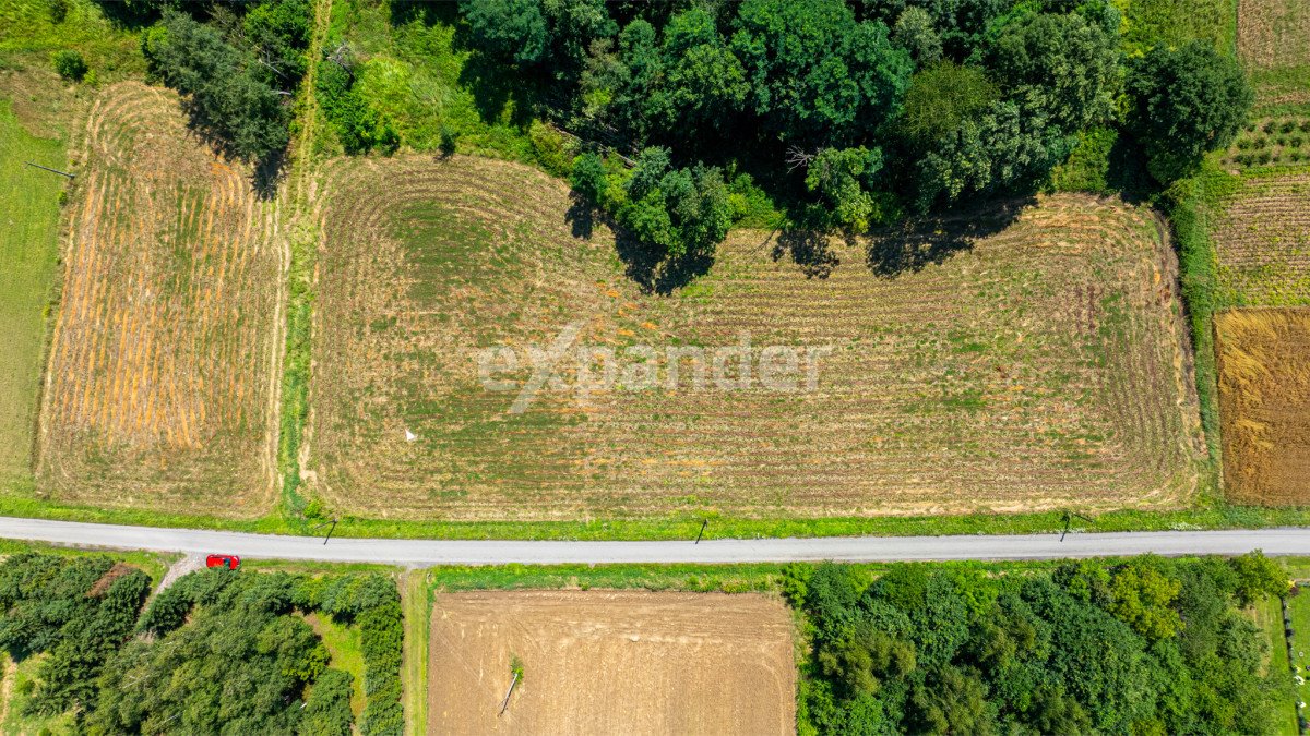 Działka budowlana na sprzedaż Kopytówka  3 569m2 Foto 5