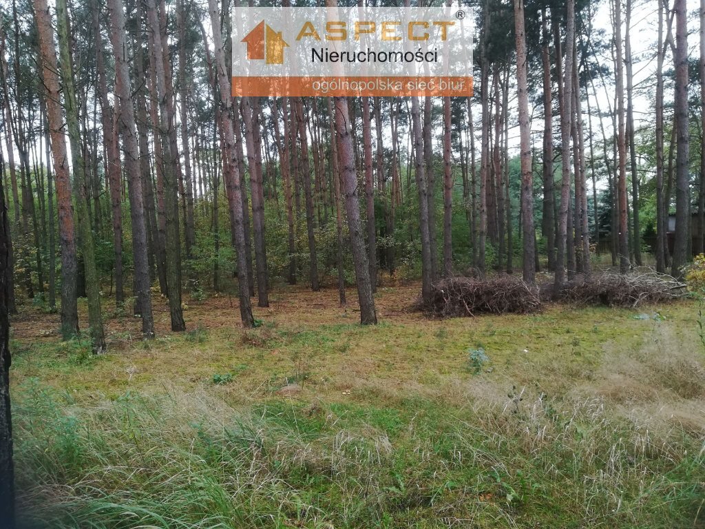 Działka leśna na sprzedaż Liszyno  1 740m2 Foto 2