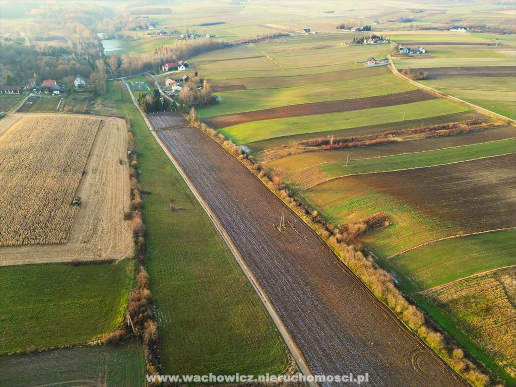 Działka rolna na sprzedaż Gołyszyn  25 406m2 Foto 5