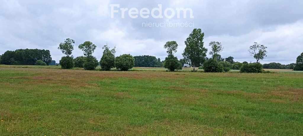 Działka inna na sprzedaż Łaźnie  6 800m2 Foto 3