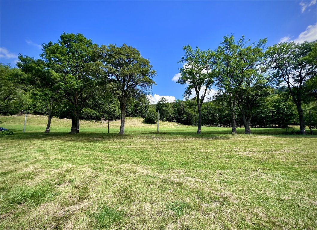 Działka rekreacyjna na sprzedaż Jarkowice  1 600m2 Foto 2