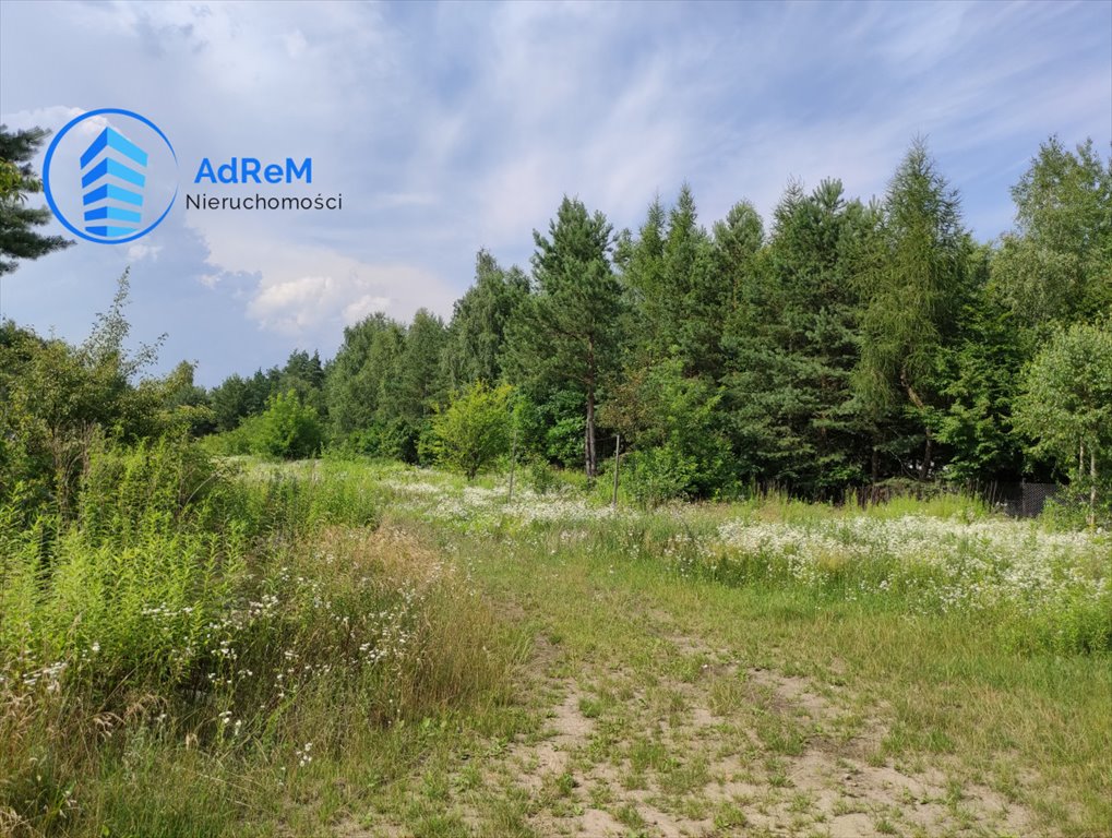 Działka budowlana na sprzedaż Łoś  1 200m2 Foto 4