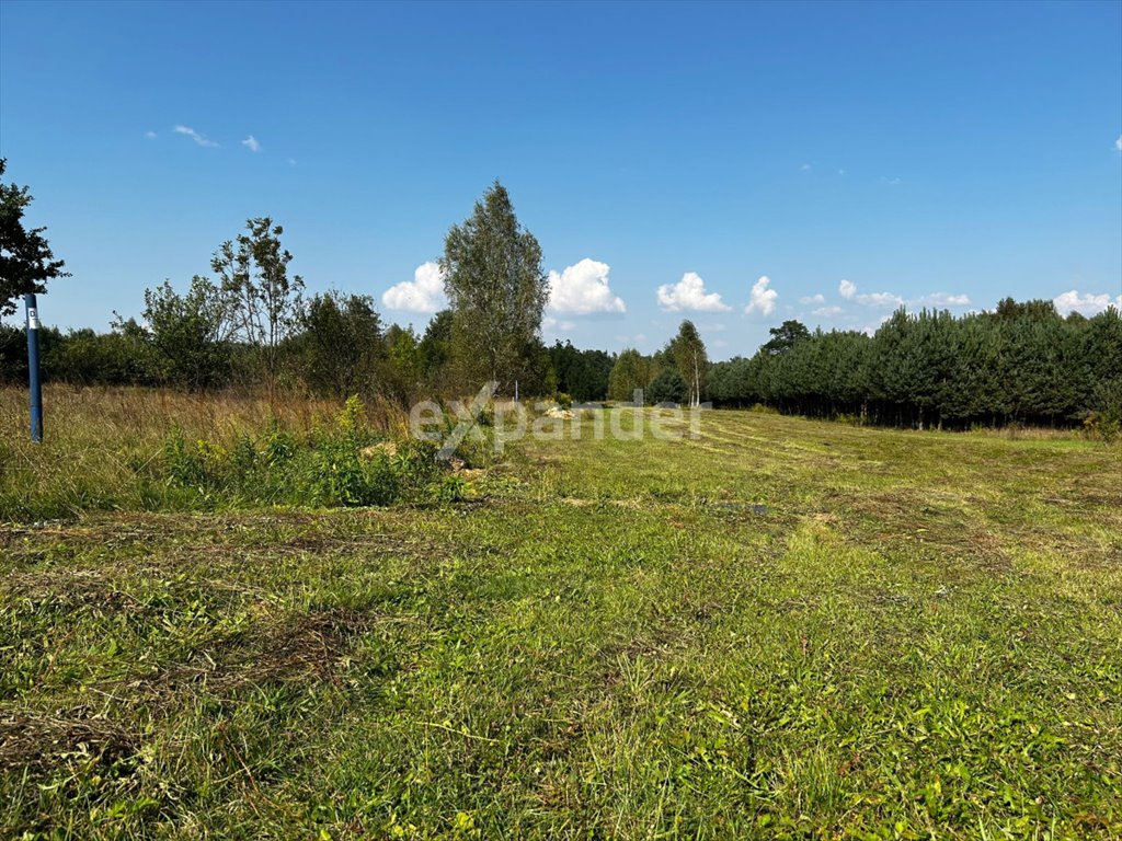 Działka budowlana na sprzedaż Toporowice, Źródlana  2 017m2 Foto 5