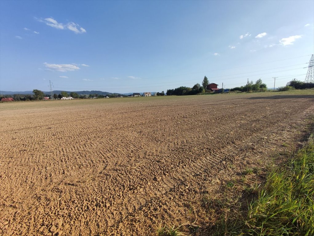 Działka budowlana na sprzedaż Czadrów  1 545m2 Foto 4