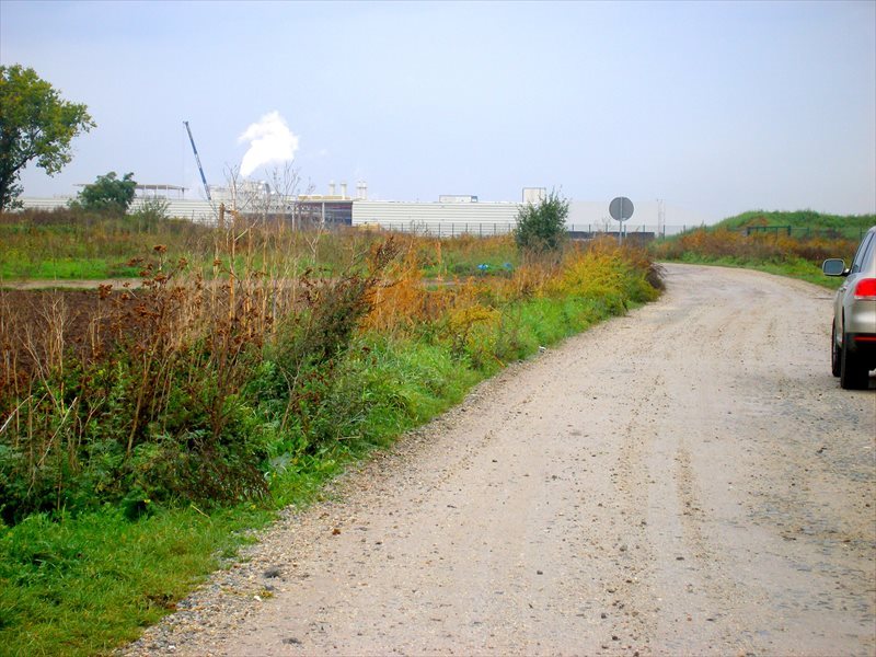 Działka inwestycyjna na sprzedaż Bielany Wrocławskie 5 200m2 Foto 1 Działka inwestycyjna na sprzedaż Bielany Wrocławskie 5 200m2 Foto 1