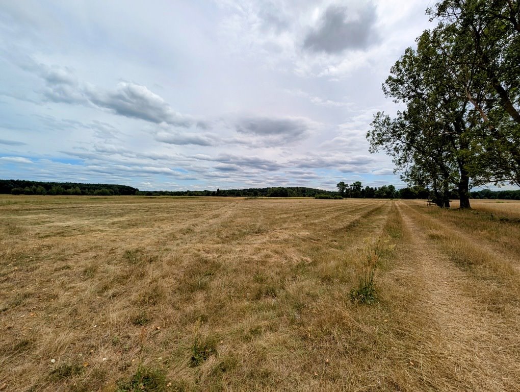 Działka rolna na sprzedaż Roszkowa Wola  15 400m2 Foto 3