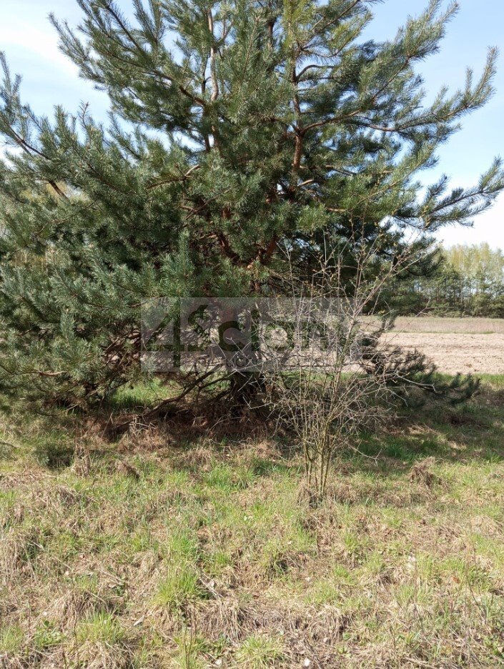 Działka 8 954 m² z dostępem do rzeki w Broku Brok  8 954m2 Foto 1