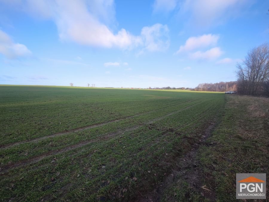 Działka 1000 m² pod zabudowę jednorodzinną w Połchowie Połchowo  1 000m2 Foto 1