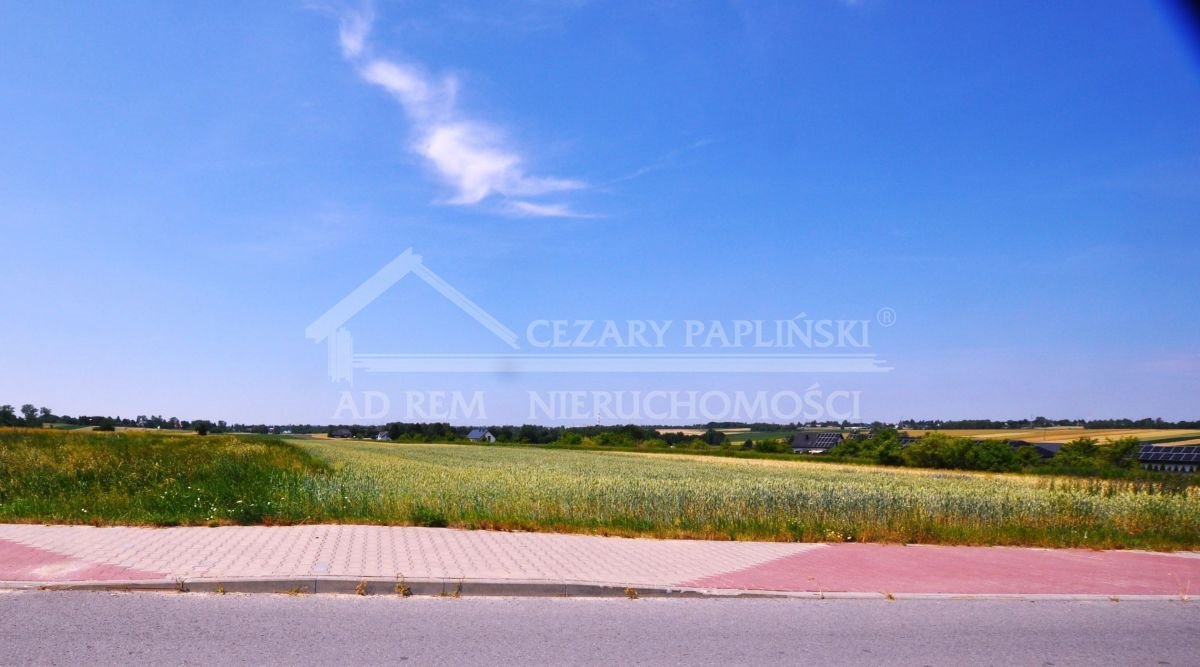 Zdjęcie 3