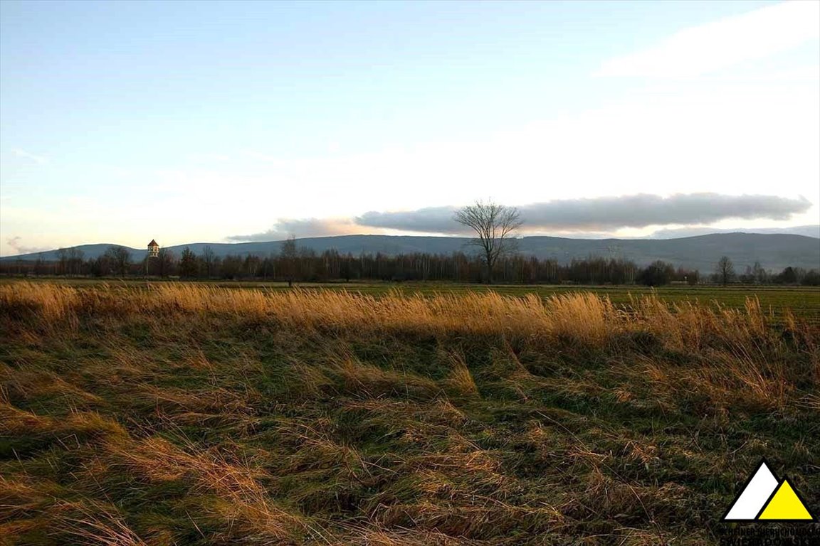 Działka budowlana na sprzedaż Mirsk  1 042m2 Foto 1