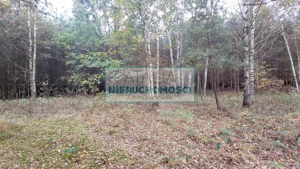 Duża działka rolno-leśna z jeziorem i strumykiem polecam Zimna Woda  13 700m2 Foto 1