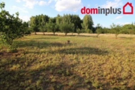 Działka inna na sprzedaż Czarne Błoto 1 500m2 Foto 1 Działka inna na sprzedaż Czarne Błoto 1 500m2 Foto 1