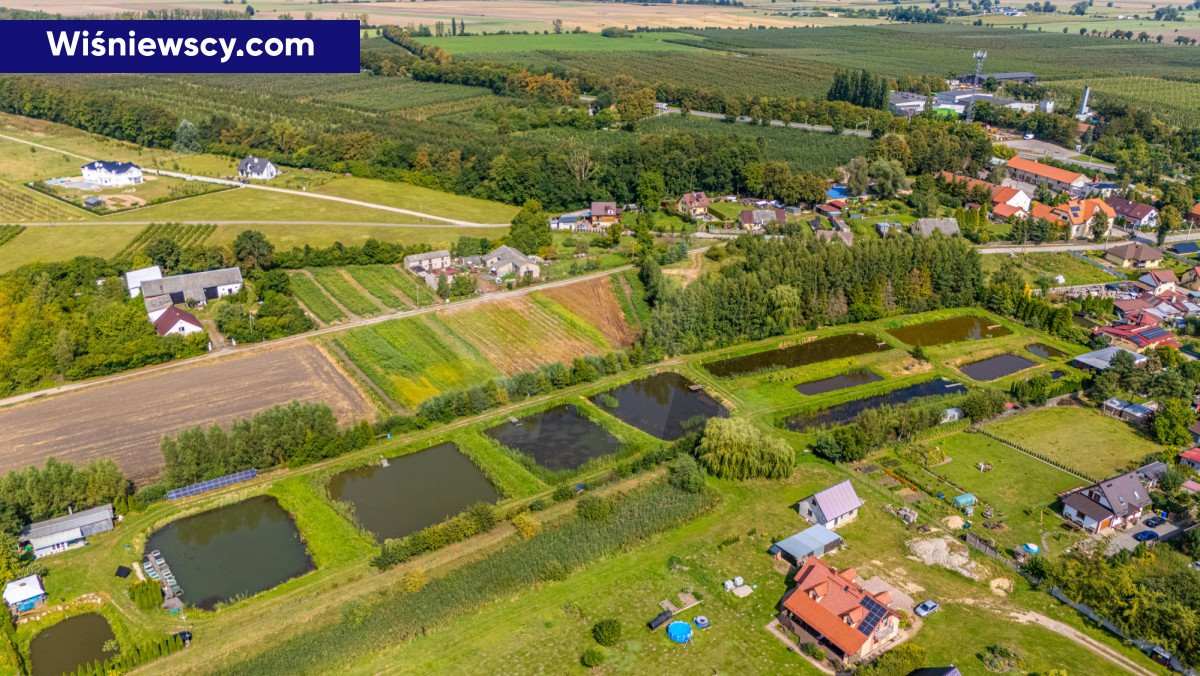 Działka siedliskowa na sprzedaż Miłobądz, Sadowa  8 581m2 Foto 1