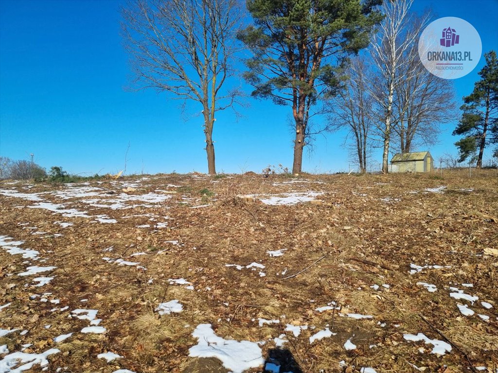 Działka budowlana na sprzedaż Giławy, Giławy  4 259m2 Foto 5