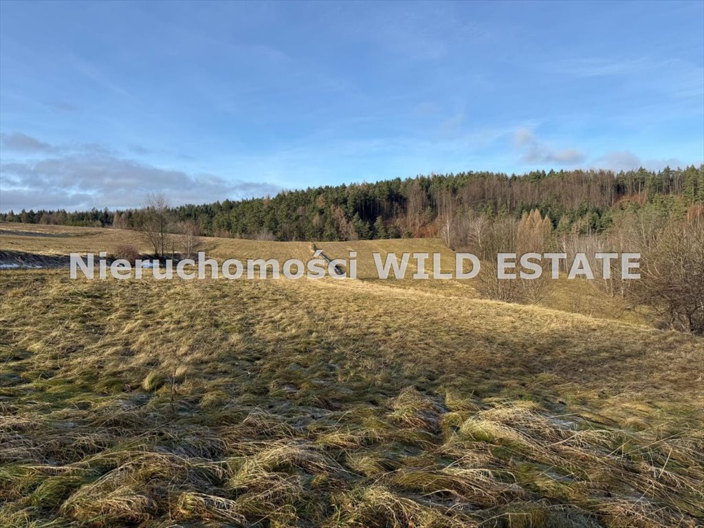 Sprzedam działkę pod pensjonat 3402 m² w Berezce z widokami Berezka  3 402m2 Foto 1