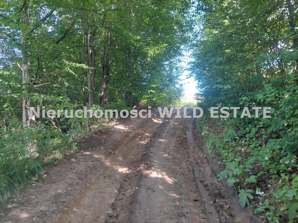 Działka rolna na sprzedaż Lesko, Bezmiechowa Dolna  22 473m2 Foto 9