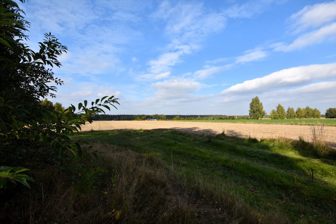 Działka budowlana na sprzedaż Borkowice  900m2 Foto 6