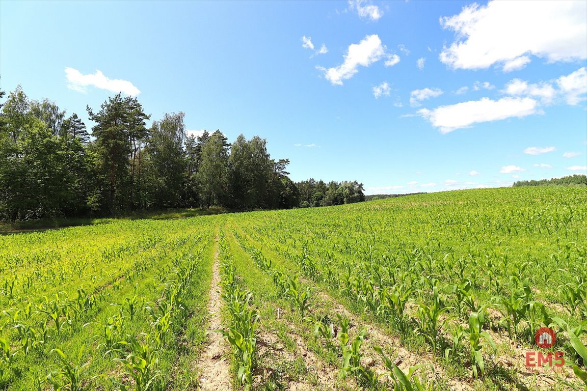 Działka budowlana 1100 m² pod dom w Rożyńsku Wielkim Rożyńsk Wielki  1 100m2 Foto 1