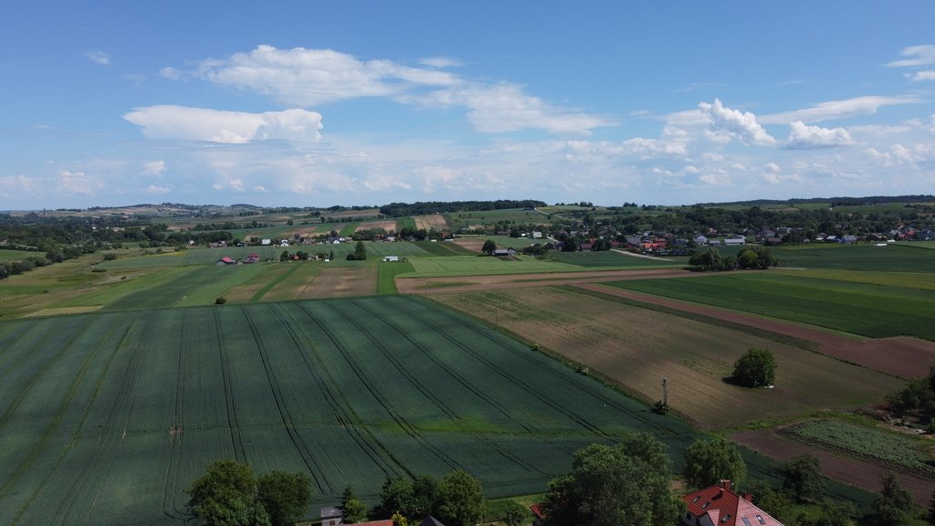 Działka budowlana na sprzedaż Wilków, Kolonia  1 556m2 Foto 8