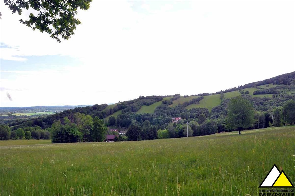 Działka budowlana na sprzedaż Gierczyn  9 700m2 Foto 5