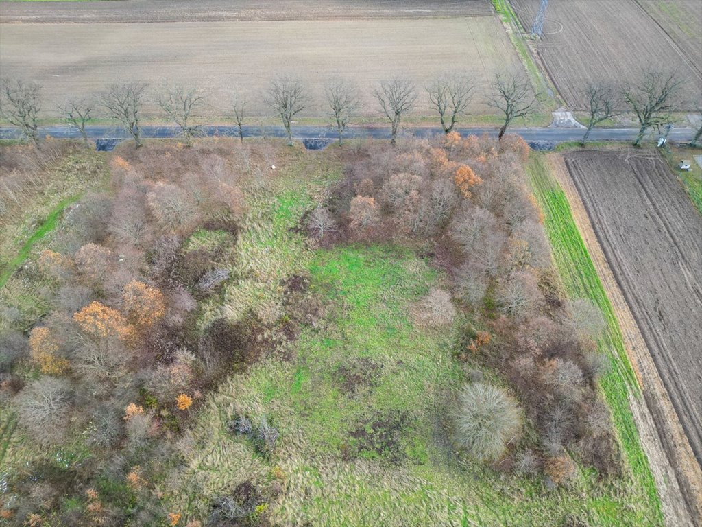 Działka budowlana na sprzedaż Pieńkowo  672m2 Foto 6