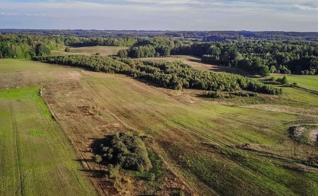 Działka rolna na sprzedaż Nasy  5 466m2 Foto 11