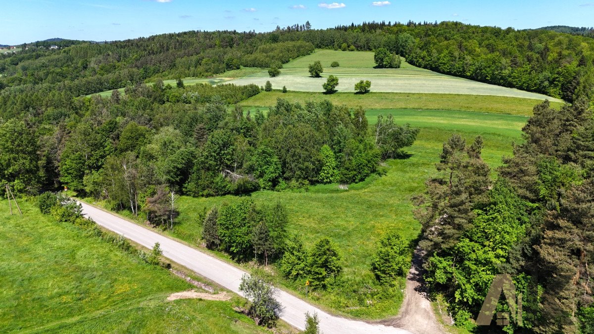 Działka budowlana na sprzedaż Podole-Górowa  4 000m2 Foto 5