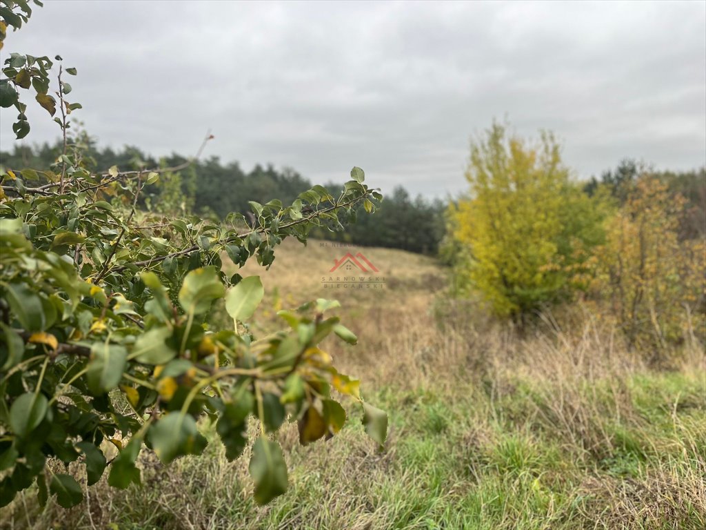 Działka budowlana na sprzedaż Szabda, Szabda, Na Zamek  824m2 Foto 2