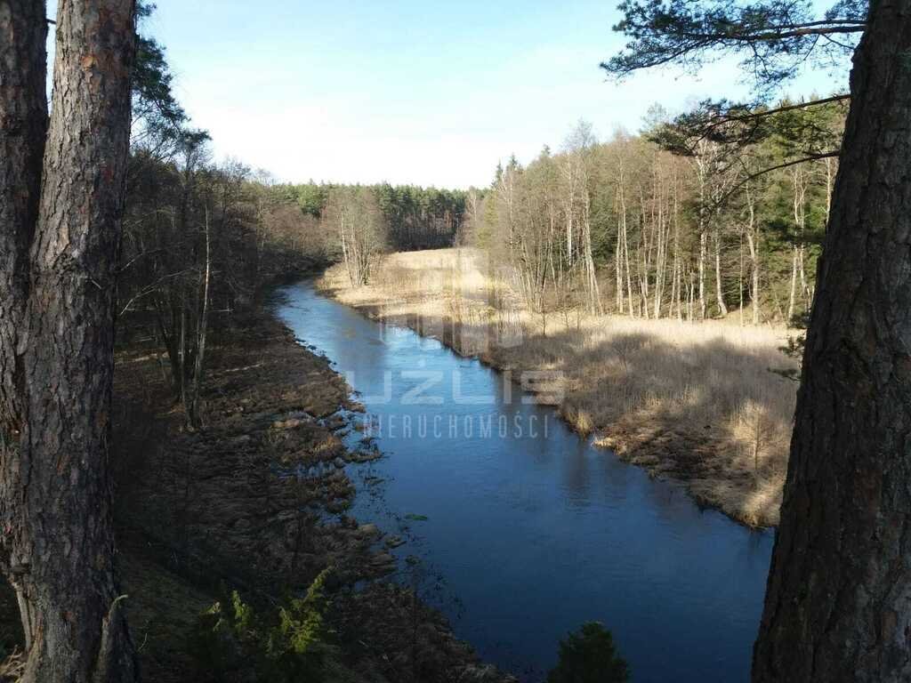 Działka leśna na sprzedaż Krępki  12 611m2 Foto 8