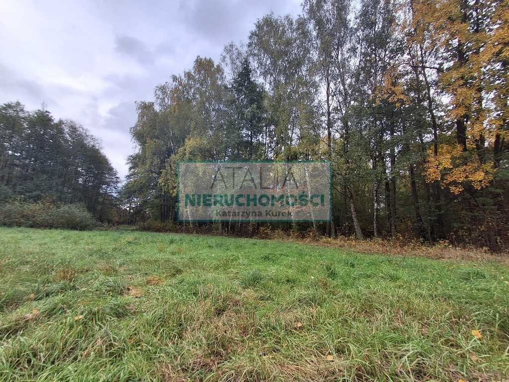 Do sprzedania zadrzewiona działka 6000 m² pod zabudowę w Radonia Radonie  6 000m2 Foto 1