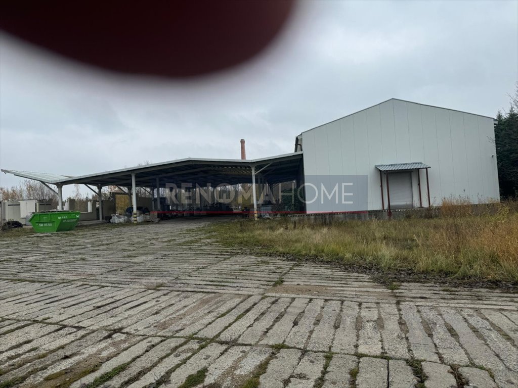 Lokal użytkowy na sprzedaż Jaśkowice Legnickie  1 400m2 Foto 8