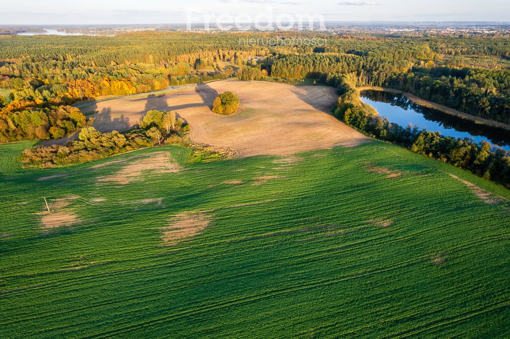 Działka budowlana na sprzedaż Iława  660 000m2 Foto 18